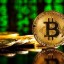 Курс Bitcoin к доллару на сегодня: как посмотреть актуальную стоимость